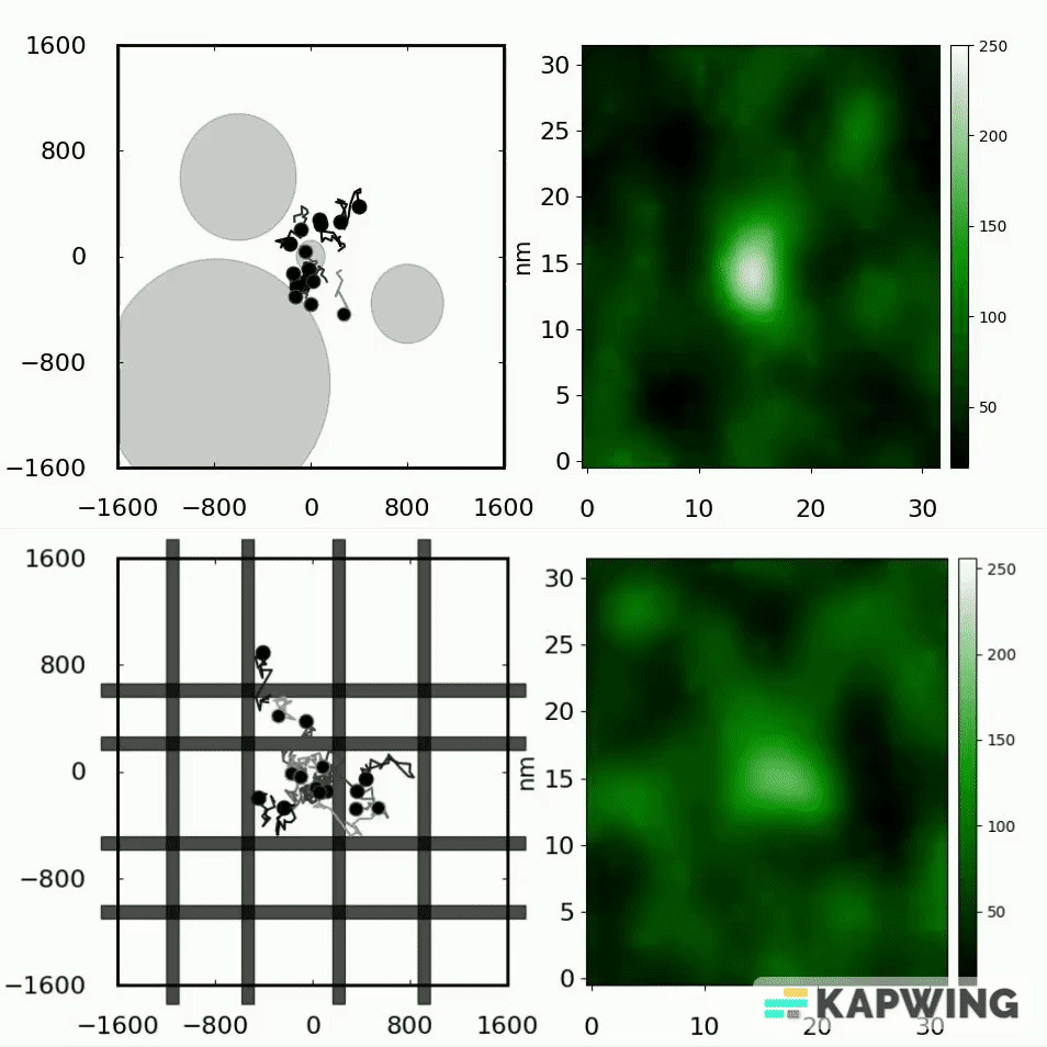 Protein Diffusion